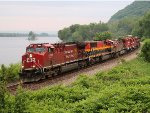 CP 8117